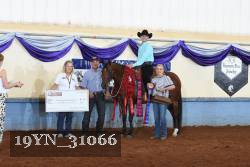 19YN_31066 thumbnail