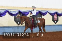 19YN_31072 thumbnail