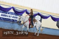 19YN_31076 thumbnail