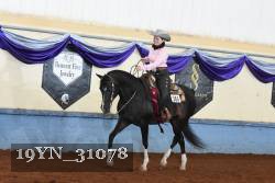 19YN_31078 thumbnail