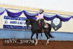 19YN_31079 thumbnail