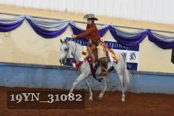19YN_31082 thumbnail