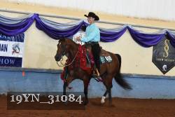 19YN_31084 thumbnail