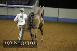 19YN_31301 thumbnail