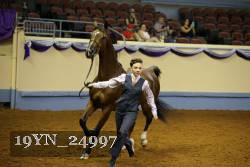 19YN_24997 thumbnail