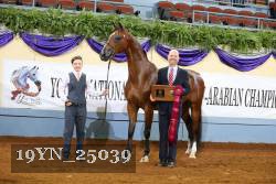 19YN_25039 thumbnail