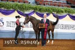19YN_25040 thumbnail