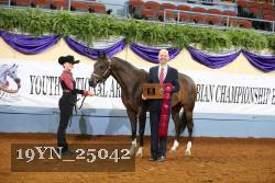 19YN_25042 thumbnail