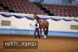 19YN_25051 thumbnail