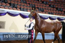 19YN_25052 thumbnail