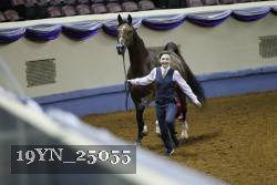 19YN_25055 thumbnail