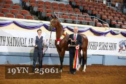19YN_25061 thumbnail