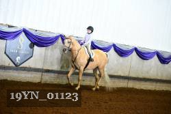 19YN_01123 thumbnail