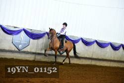 19YN_01152 thumbnail