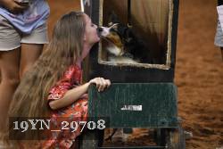 19YN_29708 thumbnail