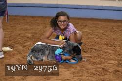 19YN_29756 thumbnail