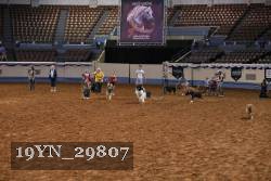 19YN_29807 thumbnail