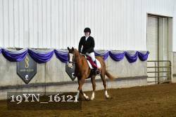 19YN_16121 thumbnail