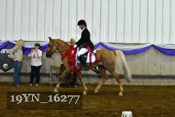 19YN_16277 thumbnail