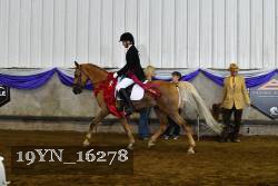 19YN_16278 thumbnail