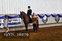 19YN_16279 thumbnail