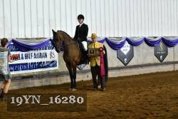 19YN_16280 thumbnail