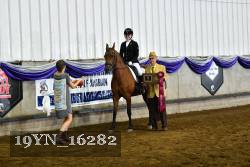 19YN_16282 thumbnail