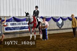 19YN_16291 thumbnail