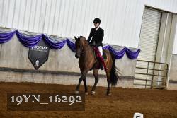 19YN_16292 thumbnail
