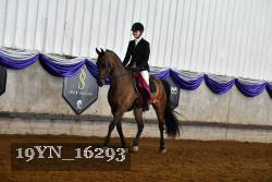 19YN_16293 thumbnail