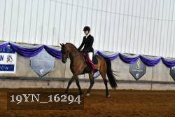 19YN_16294 thumbnail