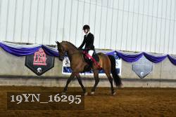 19YN_16295 thumbnail