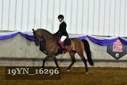 19YN_16296 thumbnail