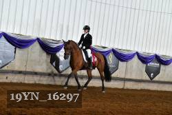 19YN_16297 thumbnail