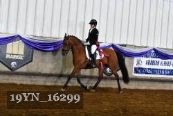 19YN_16299 thumbnail