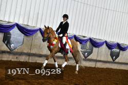 19YN_09528 thumbnail