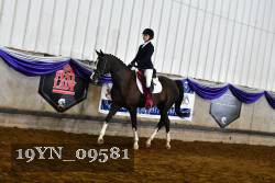 19YN_09581 thumbnail