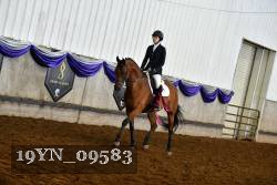 19YN_09583 thumbnail