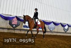 19YN_09585 thumbnail