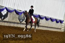 19YN_09586 thumbnail