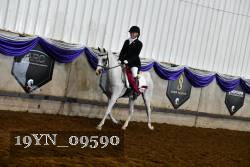 19YN_09590 thumbnail