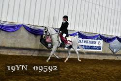 19YN_09592 thumbnail