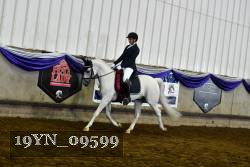 19YN_09599 thumbnail