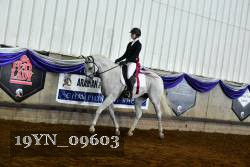 19YN_09603 thumbnail