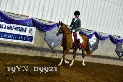 19YN_09921 thumbnail