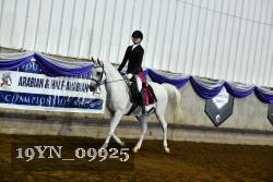 19YN_09925 thumbnail