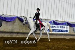 19YN_09926 thumbnail