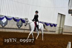 19YN_09927 thumbnail