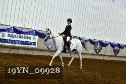 19YN_09928 thumbnail