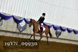 19YN_09930 thumbnail